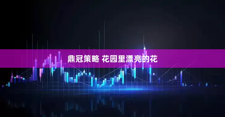 鼎冠策略 花园里漂亮的花