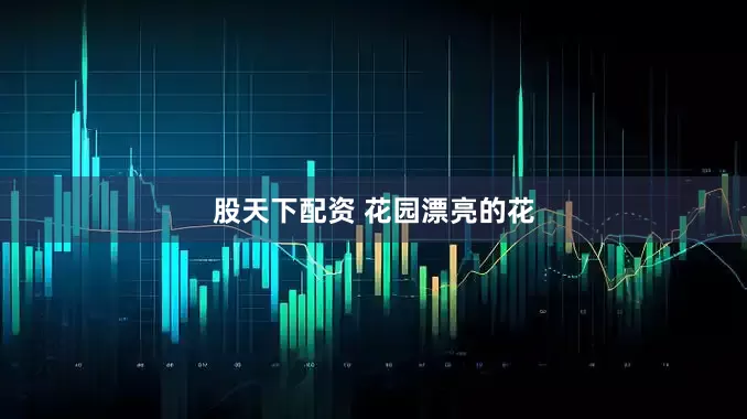 股天下配资 花园漂亮的花